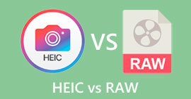 HEIC 대 RAW