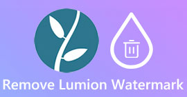Lumion-watermerk verwijderen