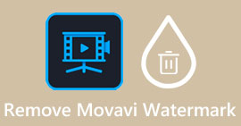 Elimina la marca d'aigua de Movavi