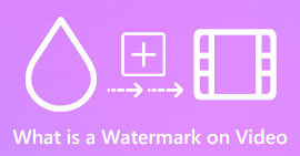What is a Watermark on Video