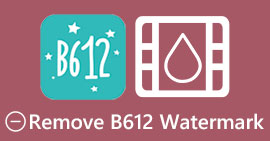 Poista B612 vesileima