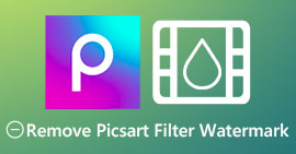 Remove PicsArt Filter Watermark