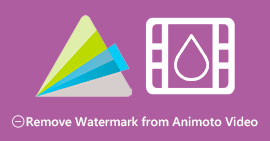 Remove Watermark from Animoto Video