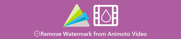 Remove Watermark from Animoto Video