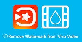 Удалить водяной знак из Viva Video