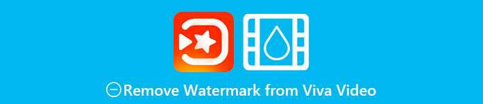 Remove Watermark from Viva Video