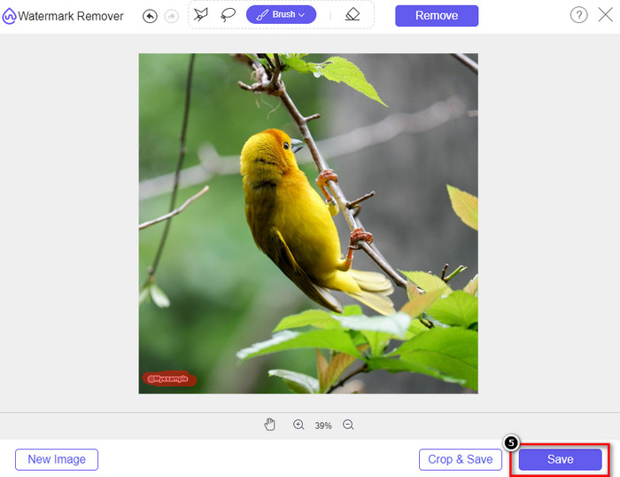 Save Images without Watermark