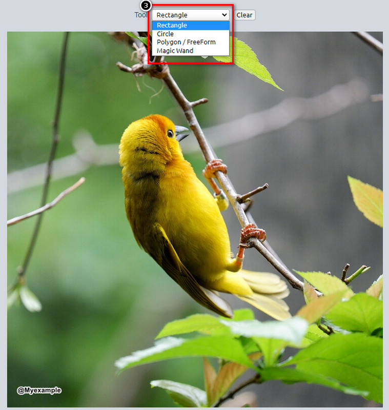 Choose Cropping Options