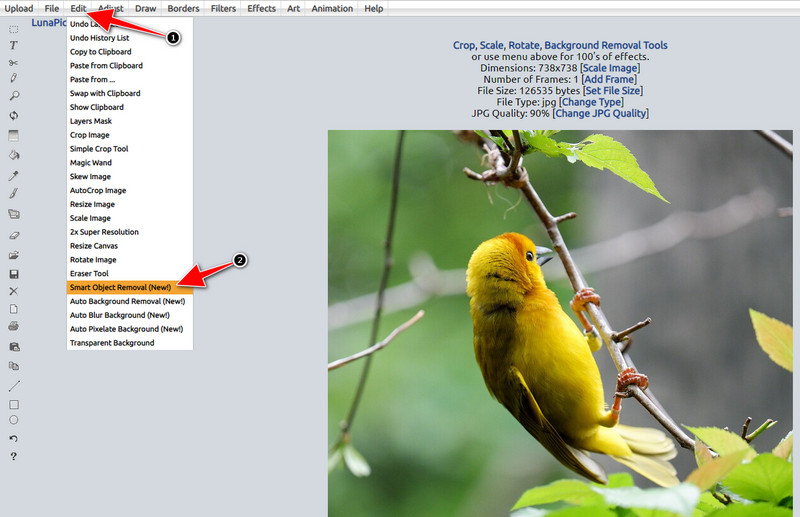 Open Smart Object Removal