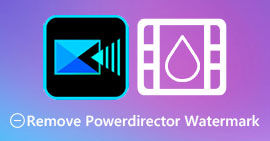 ลบลายน้ำ PowerDirector