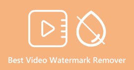 Bästa Video Watermark Remover