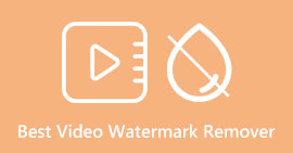 Best Video Watermark Remover