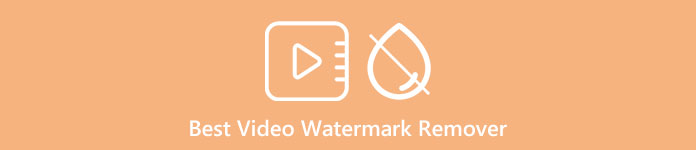 Bästa Video Watermark Remover