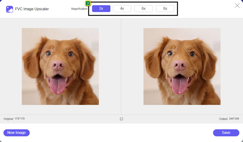 Choose Editing Option