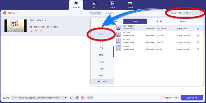 Convert DivX