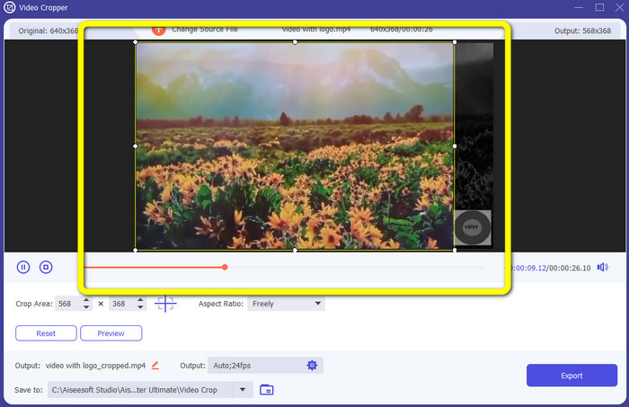 Crop the Video