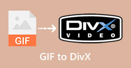 GIF 转 DivX