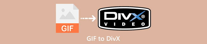 GIF în DivX