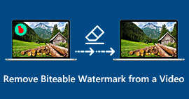 Fjern Bireable Watermark fra en video