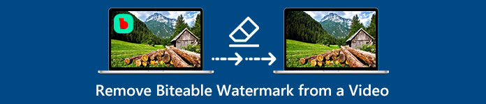 Bitable Watermark aus einem Video entfernen