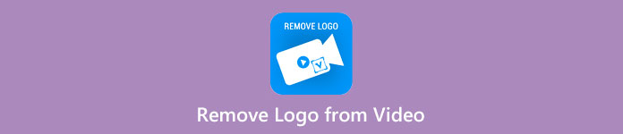 Remove Logo from A Video