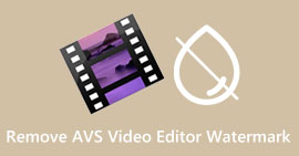 Ta bort AVS Video Editor Watermark
