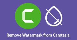 Remove Watermark from Camtasia