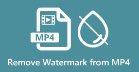 Удалить водяной знак из видео MP4