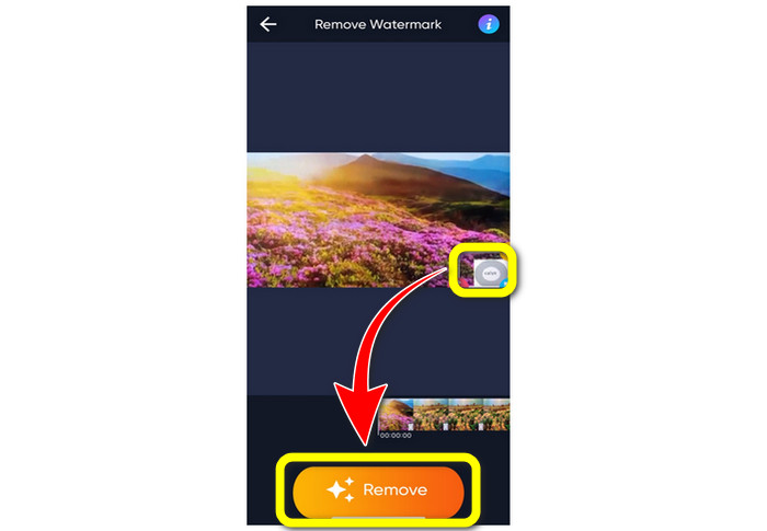 Remove Watermarks
