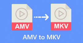 AMV to MKV