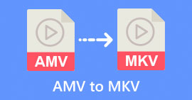 AMV เป็น MKV