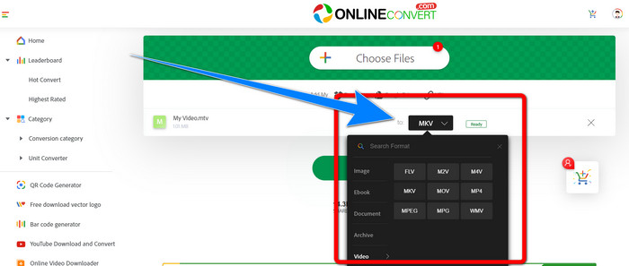 Choose MKV to Format Options