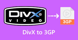 DivX'ten 3GP'ye