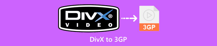 Divx kepada 3gp