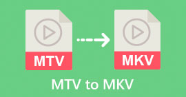 MTV'den MKV'ye dönüştürücü