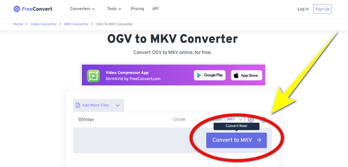 Convert to MKV