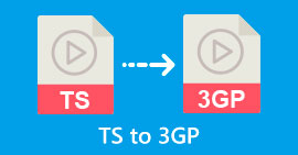 將 TSTS 轉換為 3GP