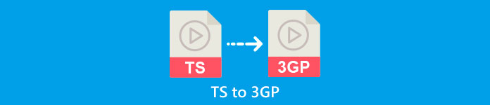 TSTS को 3GP में बदलें