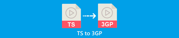 TSTS را به 3GP تبدیل کنید