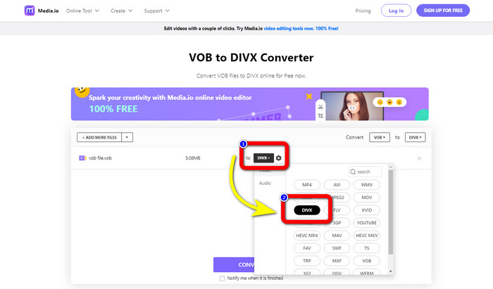 DIVX daripada Pilihan Format