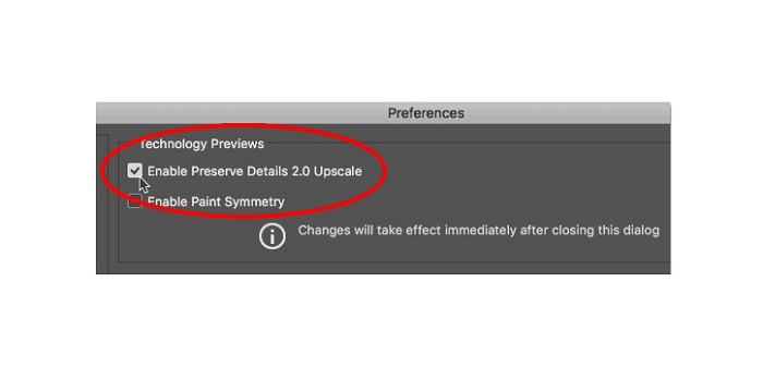 Enable Preserve Dialogue