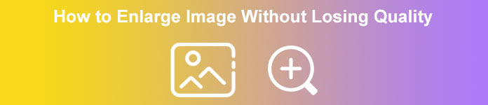 Enlarge Image