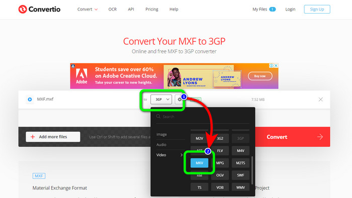 Opsi Format File MKv