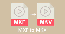 mxf-la-mkv-s