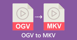 ogv-mkv-s