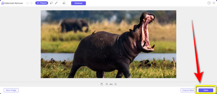 Polygonal Click Save Button