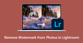 ลบลายน้ำออกจากรูปภาพใน Lightroom