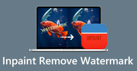 قم بإزالة Watermark Inpaint
