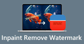 Watermark Inpaint را حذف کنید