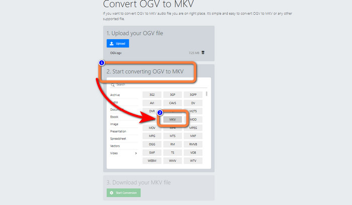 MKV Dosya Formatını Seçin